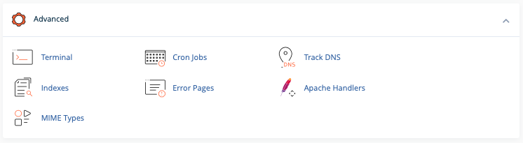 iSpeedHost.net gives customers the ability to configured advanced settings for their account using their control panel.